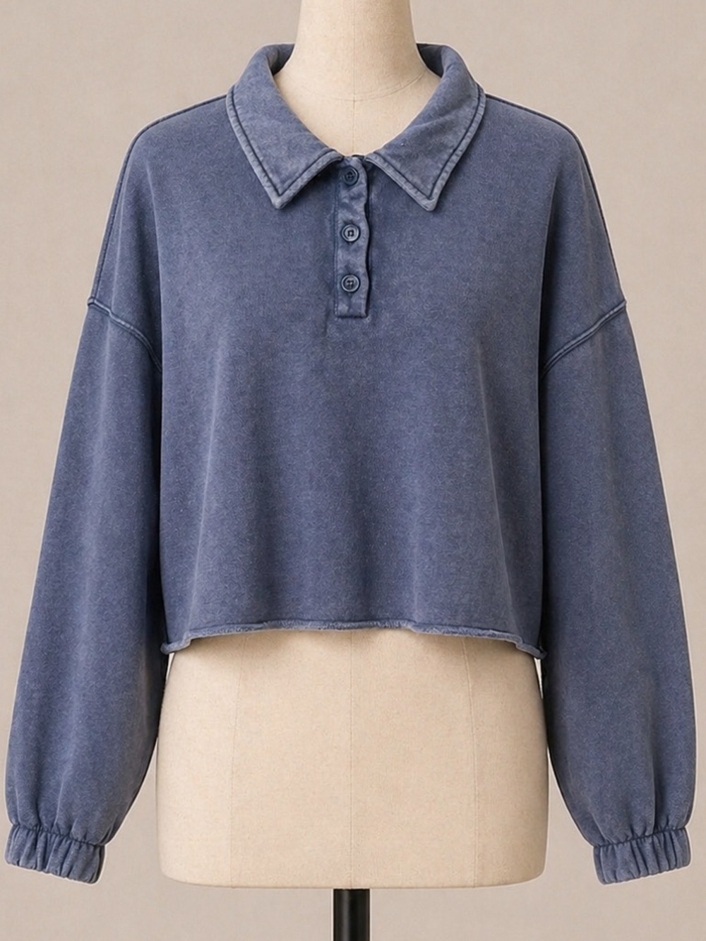 aerie Legion Blue Cropped Polo Sweatshirt